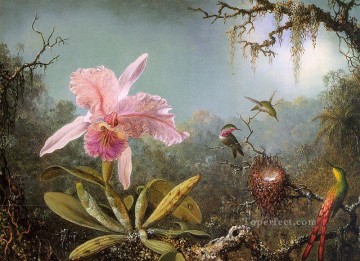  Brazilian Works - Cattelya Orchid and Three Brazilian Hummingbirds Romantic flower Martin Johnson Heade birds